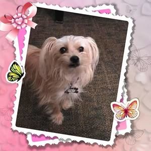 Meet your Posher, Darla